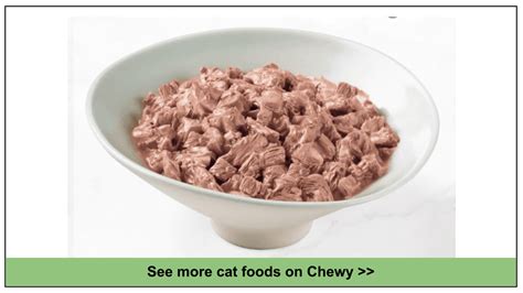 10 Best Chewy Cat Foods 2024: Expert Top Picks