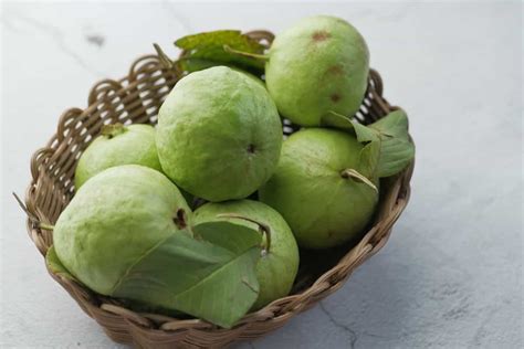 Mastering Guava Farming: Essential Cultivation Practices Unveiled