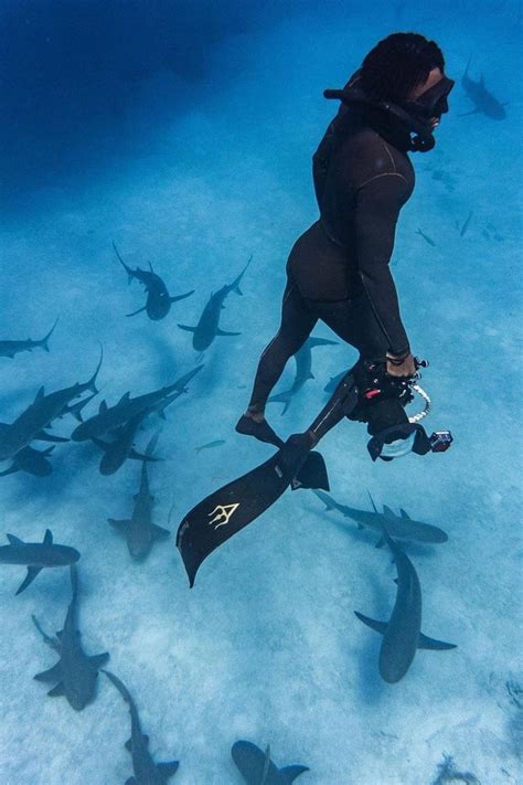 snorkeling with sharks | Diving, Snorkeling, Surfing