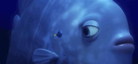 Shark tale! Meet Bailey the Beluga in this adorable clip from Finding Dory