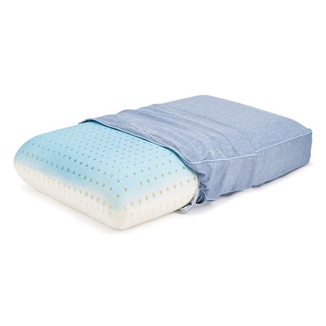 Beautyrest Silver AQUACOOL Memory Foam Pillow with Removable Cover | eBay