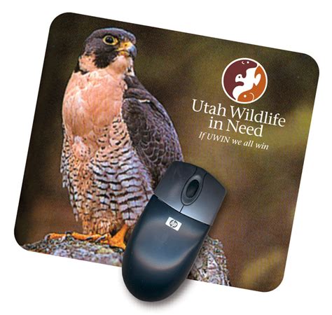 Utah Department of Wildlife Resources - Leader Creative