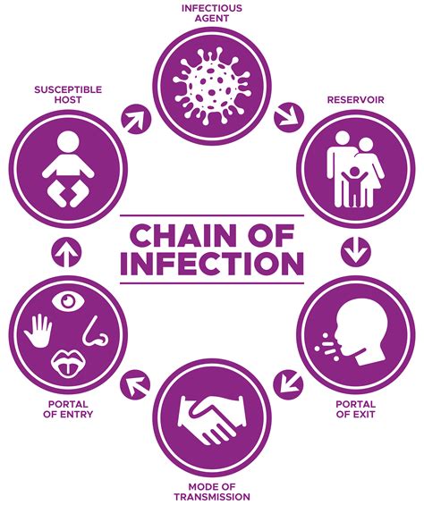 Understanding the Chain of Infection