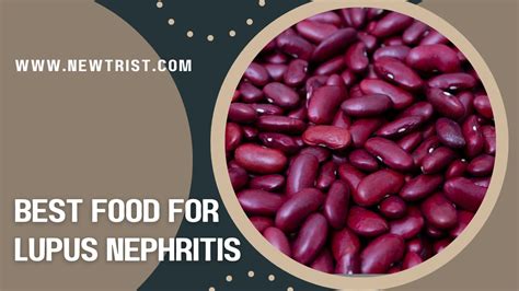 Diet For Lupus Nephritis - Newtrist Nutritionist