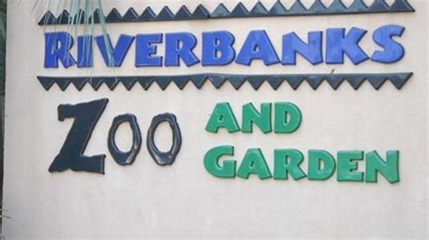 Riverbanks Zoo and Garden offering live e-learning videos | WCIV