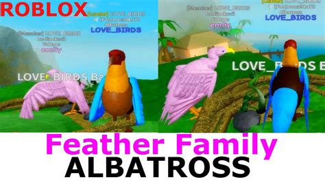 Feather Family ALBATROSS Roblox | NEW UPDATE BIRD - YouTube