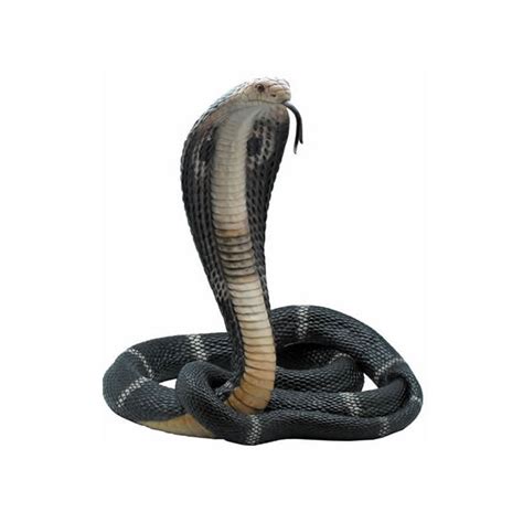 Lifelike King Cobra Snake Sculpture, STU-Home, AAWU75184AA - AllSculptures.com