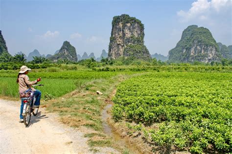 Photo, Image & Picture of Yangshuo Bicycle