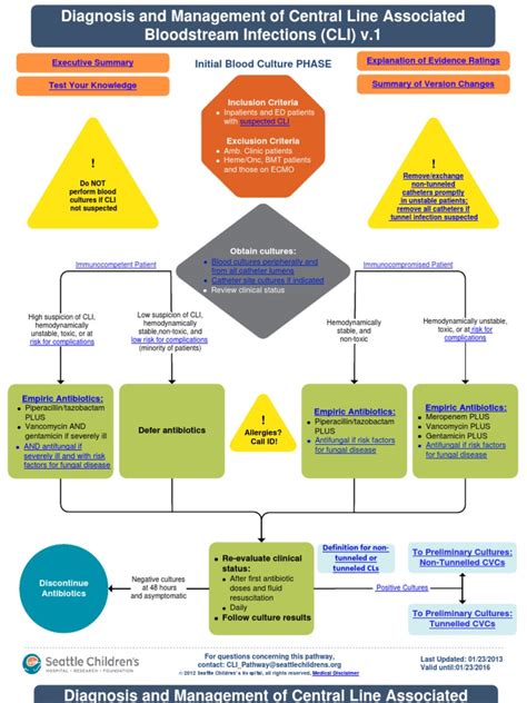 Central Line Infection Pathway | Staphylococcus Aureus | Evidence Based Medicine