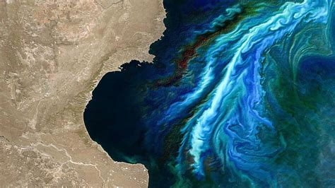 Striking satellite images reveal beauty and danger of algal blooms | Climate News | Sky News