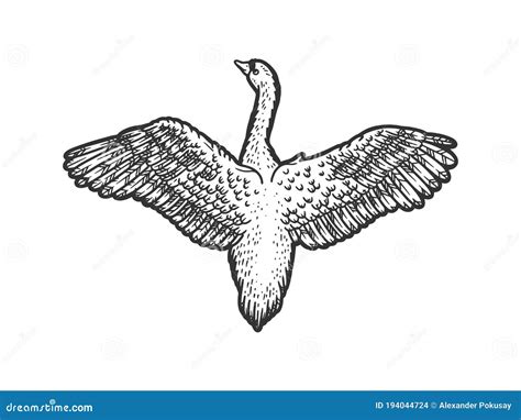 Flying Swan Bird Sketch Vector Illustration Stock Vector - Illustration of style, design: 194044724