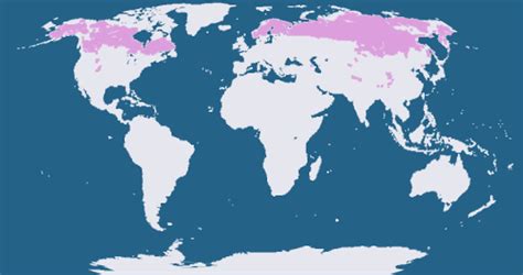 Climate Types for Kids | Subarctic Climte