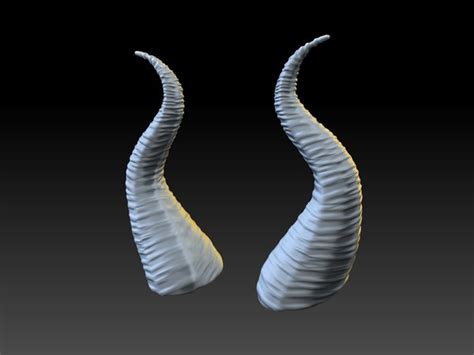 Free STL Anatomy-Horn Models | TurboSquid