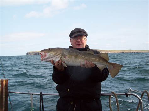 Atlantic Cod | Fishing Adventures