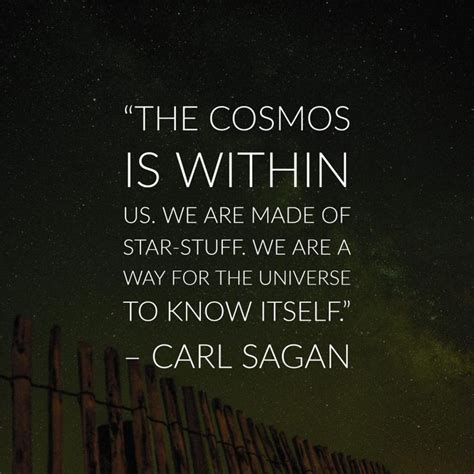 32 best Carl Sagan Quotes images on Pinterest | Carl sagan, Inspiration ...