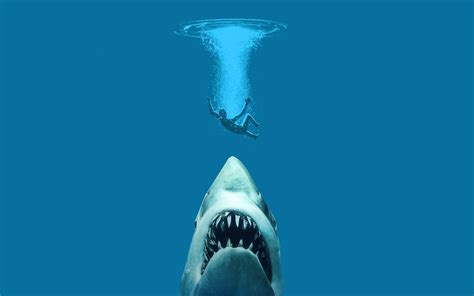 Shark Games Wallpapers - Wallpaper Cave