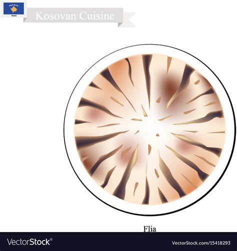 Flia or pie with yogurt filling kosovan dish Vector Image