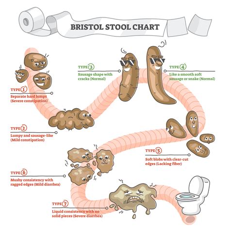 De 10 beste ideeën over bristol stool chart