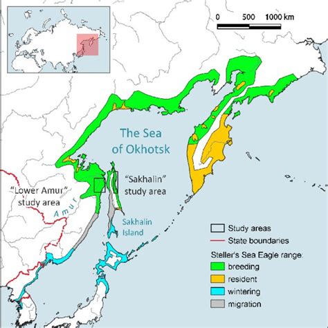 The structure of the Steller's Sea Eagle nesting territories (a ...