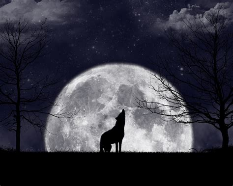 Wolf Howling At The Moon Wallpaper - WallpaperSafari