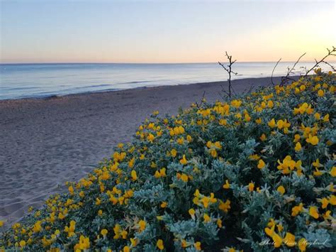 12 Best beaches in Andalucia, Spain (recommended by a local) - Brainy ...