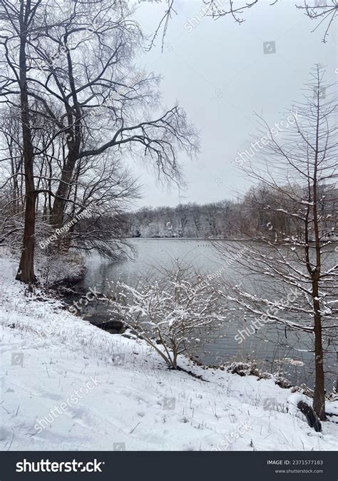 Snowy Scene Central Park New York Stock Photo 2371577183 | Shutterstock