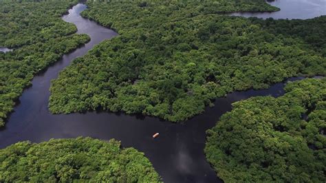 Amazônia – Biomas Brasileiros