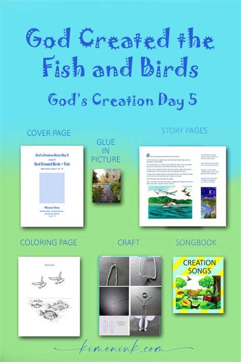 God's Creation Story Day 5: Fish and Birds | Creation story, Creation ...