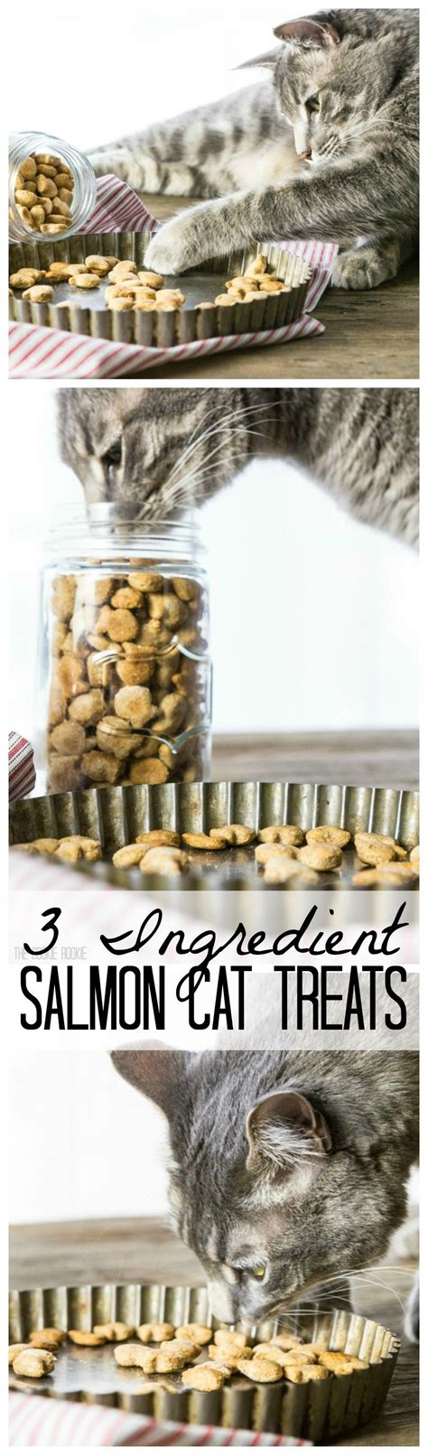 3 Ingredient Salmon Cat Treats!! These are SO easy and our cat loves ...