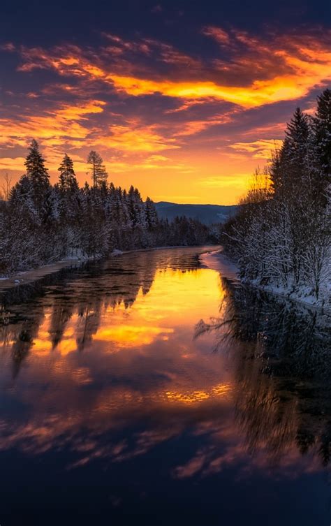 Download wallpaper 840x1336 river, trees, winter, sunset, nature ...