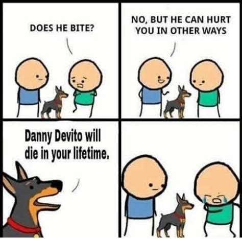 The best danny devito memes :) Memedroid