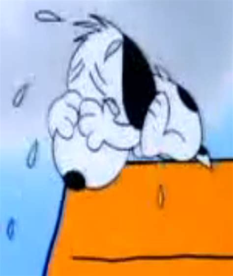 Image - Snoopy crying.png | The Parody Wiki | FANDOM powered by Wikia