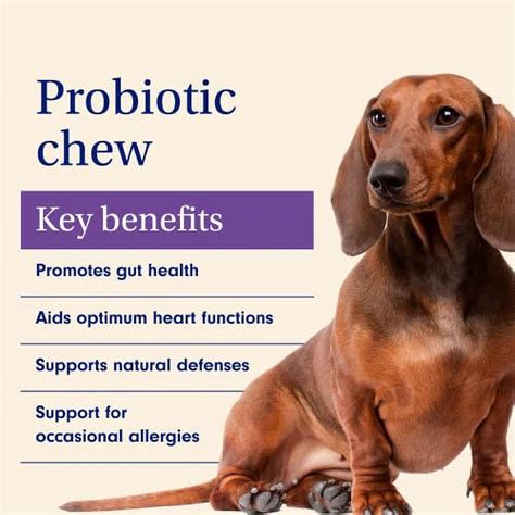 PetLab Co. Probiotics for Dogs | Support Gut Health, Itchy Skin ...