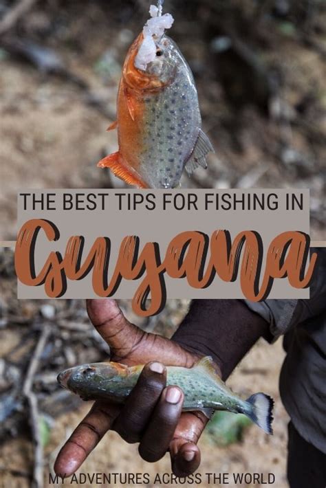 10 Tips For Successfully Fishing In Guyana | South america travel, America travel, American travel