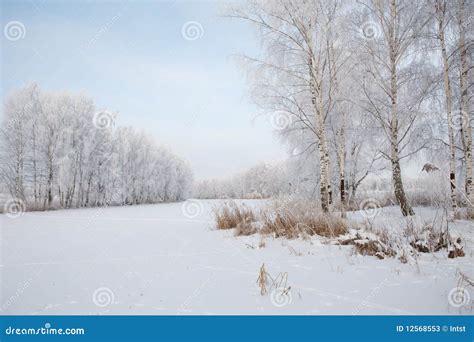 Winter frost landscape stock image. Image of north, beautiful - 12568553