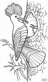 Free Printable Coloring Sheet sketch template