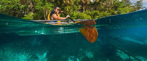 Rainbow Springs State Park | Florida State Parks