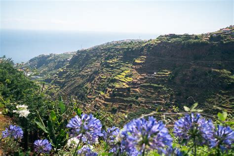 Is Madeira worth visiting? Some honest pros and cons