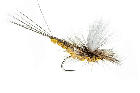 Dry Flies for Trout - Ed McCoy - Northern Michigan