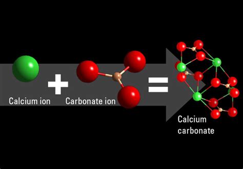 Calcium Carbonate Structure