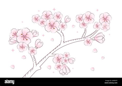 Cherry line art blossom Stock Vector Image & Art - Alamy