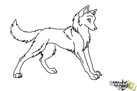 15+ Anime Wolf Drawing | ShamilaOrlando