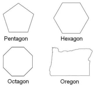 Pentagon Hexagon Octagon Oregon | Pentagon Hexagon Octagon | Know Your Meme