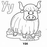 Alfabeto Animal yak Para Colorear Con Palabra Dibujada A Mano Carta  sketch template