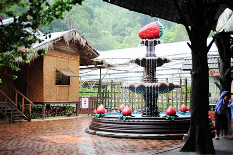 Genting Strawberry Leisure Farm in Genting Highlands