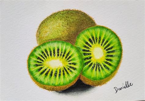 Kiwi Fruit, Drawing by Danielle Siauw | Artmajeur