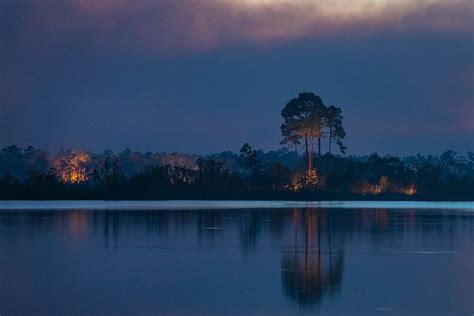 Fire in Everglades National Park | Free Photo - rawpixel