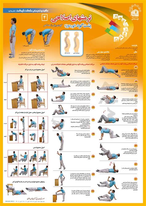 Corrective Exercise (Lordosis ) | Exercise | Pinterest | Exercises ...