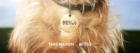 Benji Movie trailer |Teaser Trailer