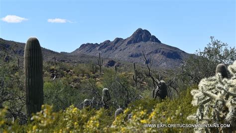 Best Hiking Trails - Tucson Mountains - Explore the Tucson Mountains